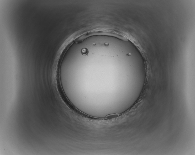 X0000112020007200908171440