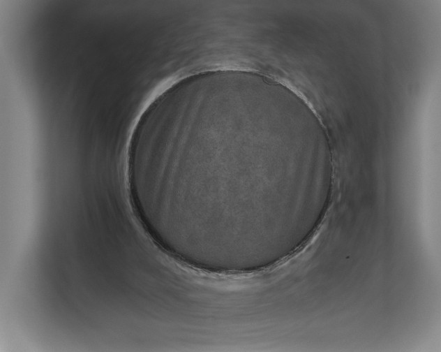 X0000112020008200908171440