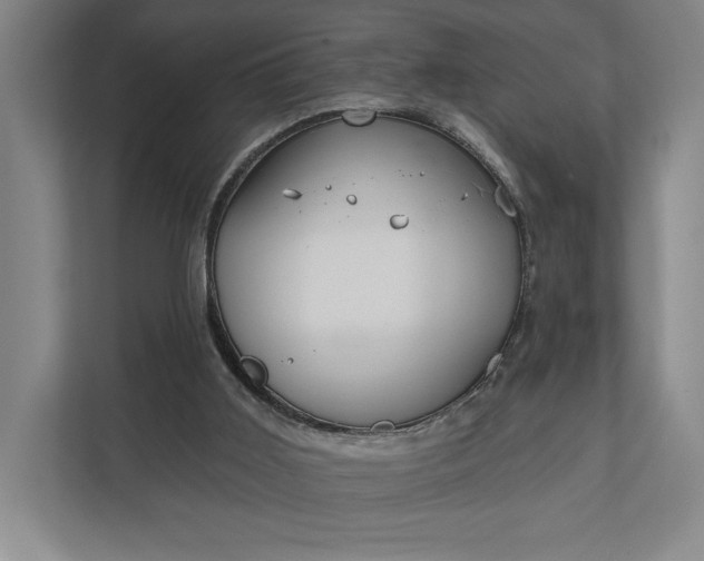 X0000112020011200908171440