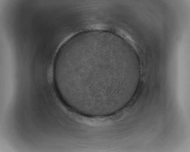 X0000112020012200908171440