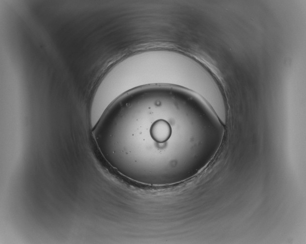 X0000112020013200908171440