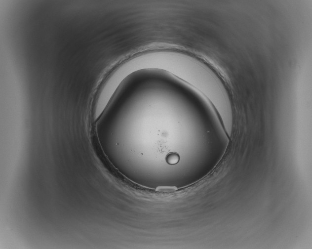 X0000112020015200908171440