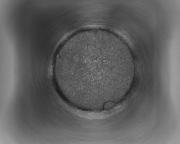 X0000112020016200908171440