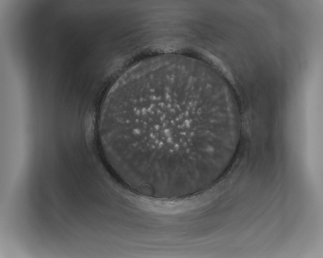 X0000112020018200908171440