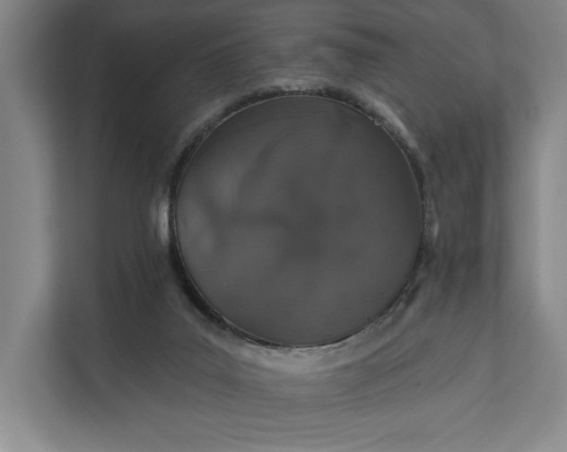 X0000112020019200908171440