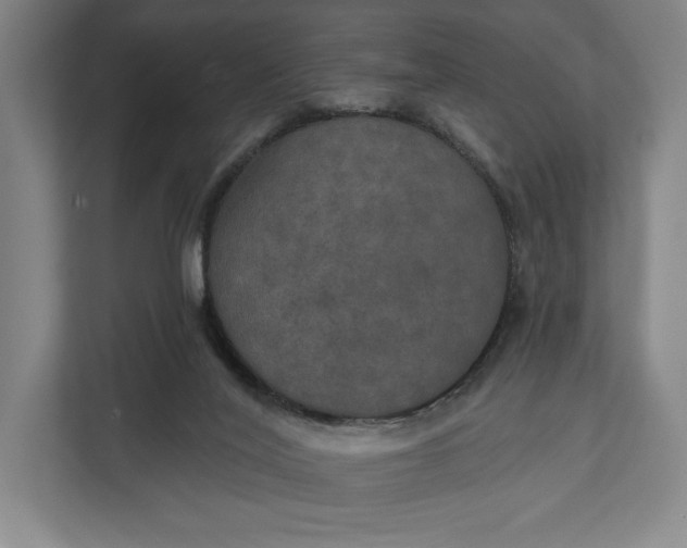 X0000112020020200908171440