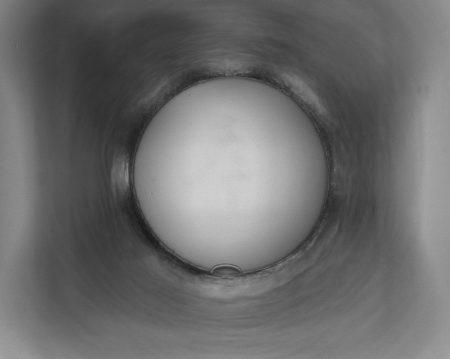 X0000112020021200908171440