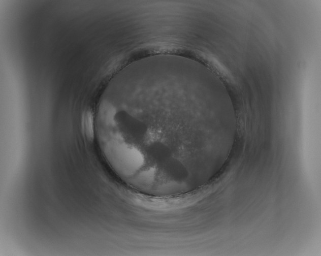 X0000112020022200908171440