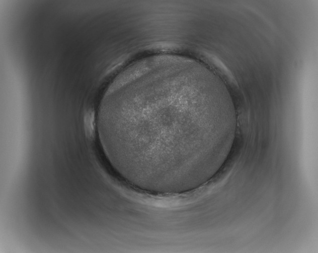 X0000112020024200908171439