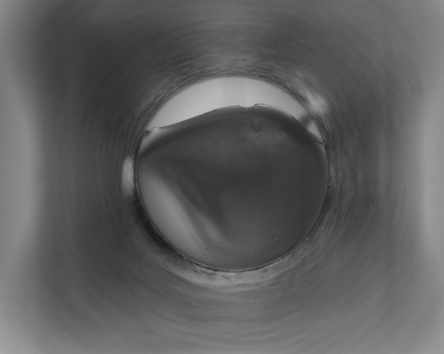 X0000112020027200908171439