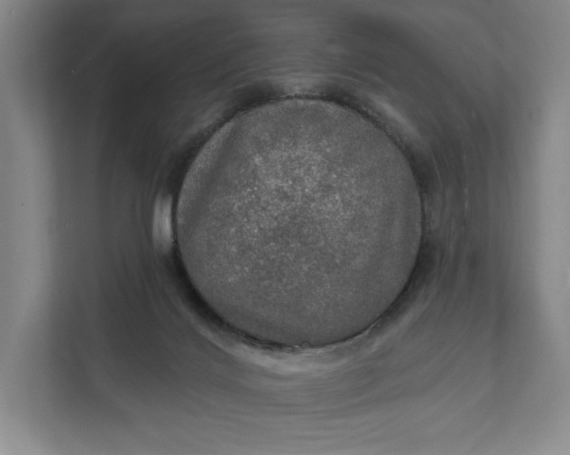 X0000112020028200908171439