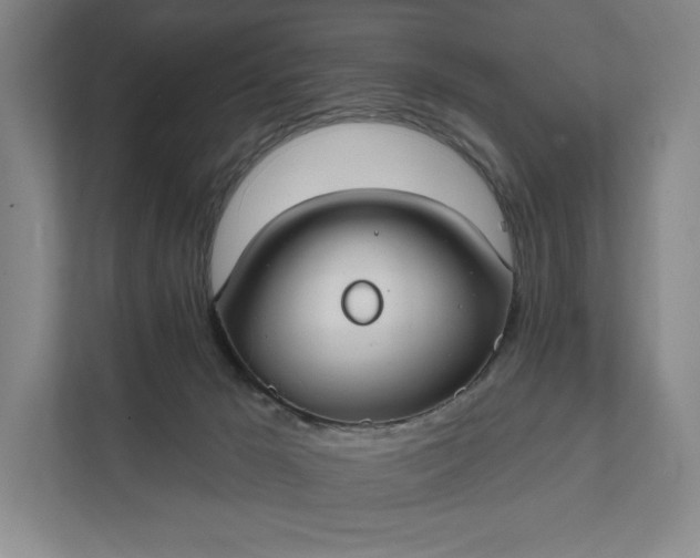 X0000112020029200908171439