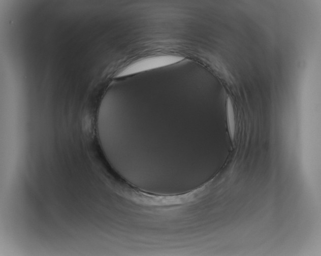 X0000112020031200908171439