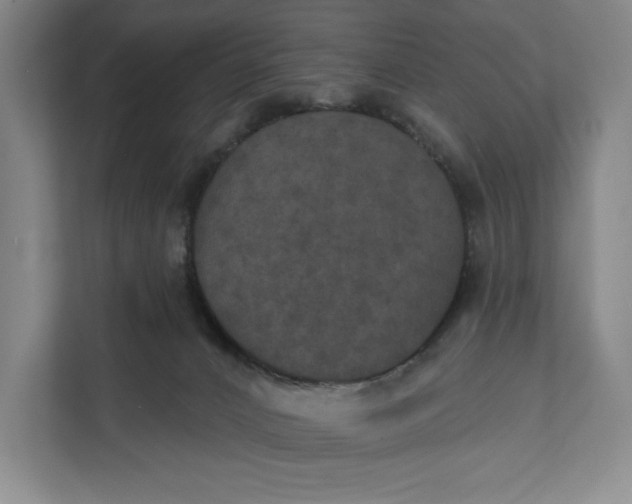 X0000112020032200908171439