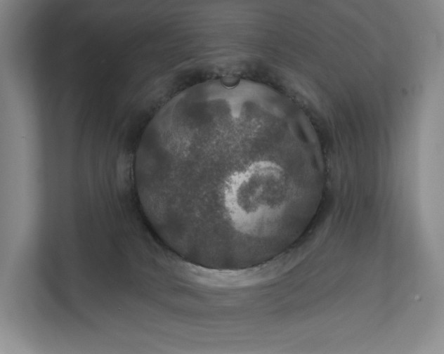 X0000112020034200908171439