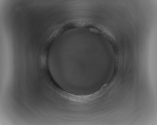 X0000112020035200908171439