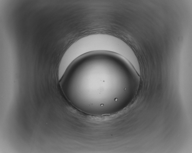 X0000112020037200908171439