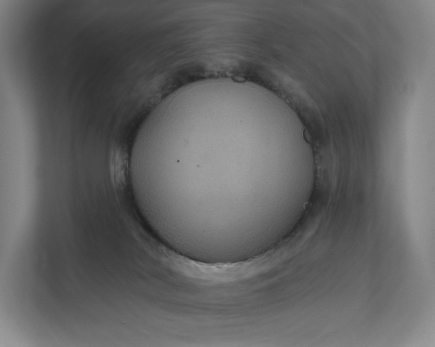 X0000112020038200908171439