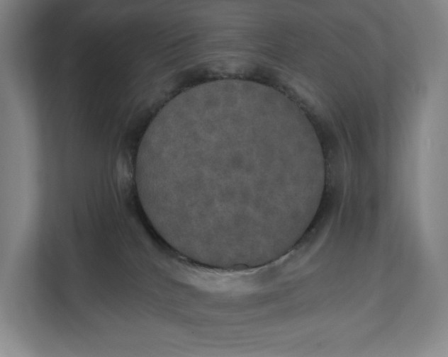 X0000112020040200908171439