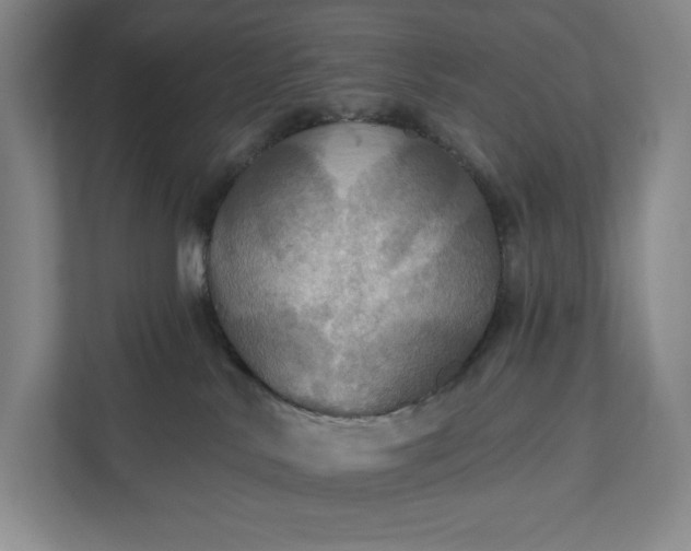 X0000112020042200908171439