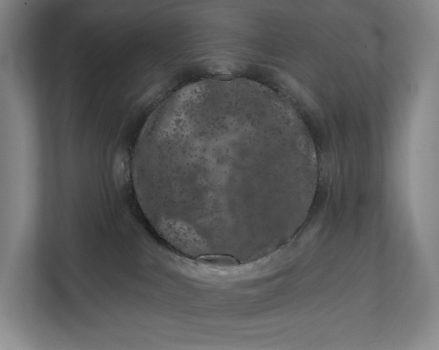 X0000112020043200908171439