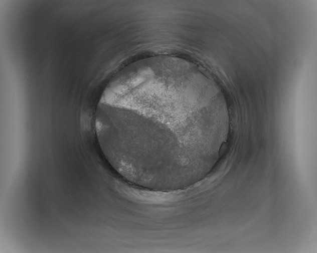 X0000112020044200908171439