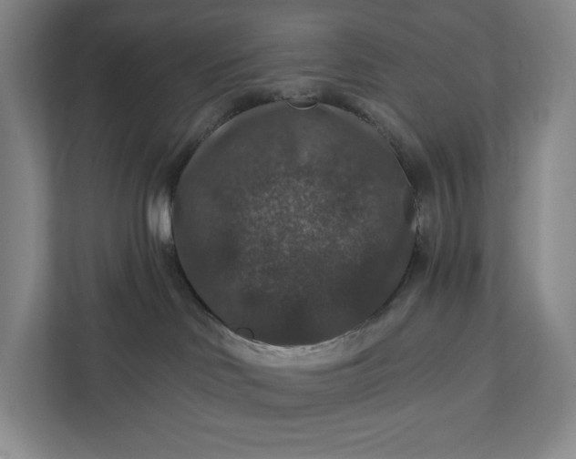 X0000112020046200908171439