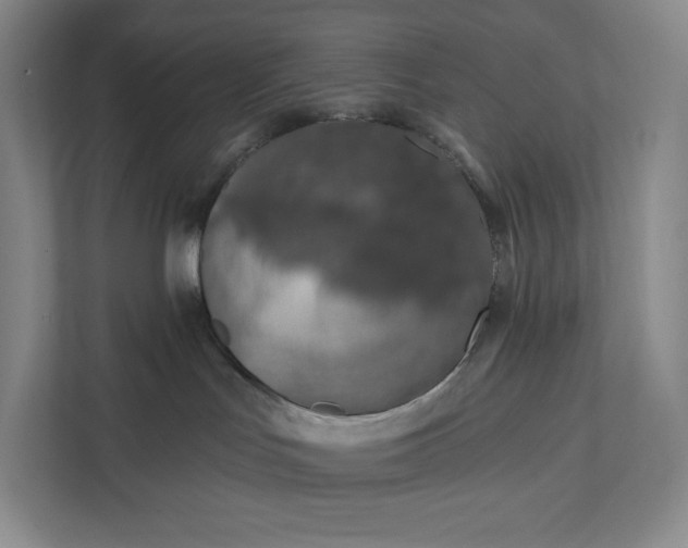 X0000112020047200908171439