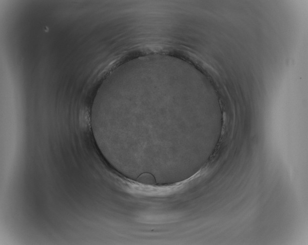 X0000112020048200908171439