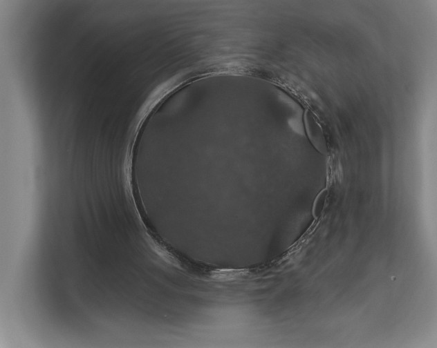 X0000112020051200908171439