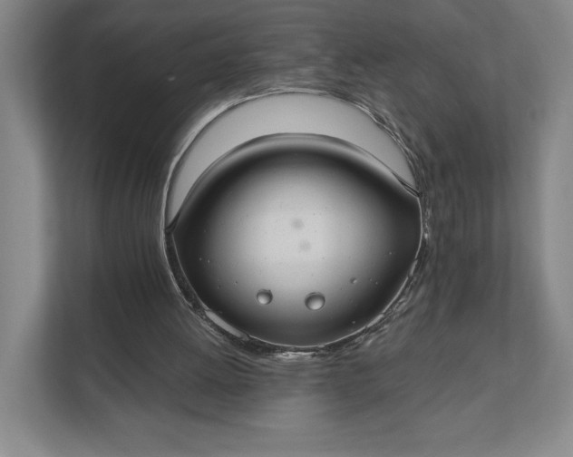 X0000112020052200908171439