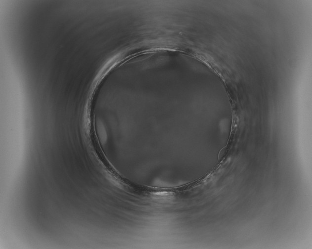 X0000112020053200908171439