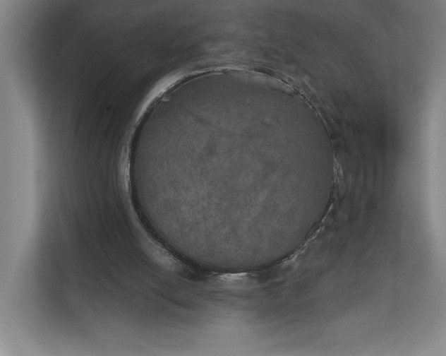 X0000112020054200908171439