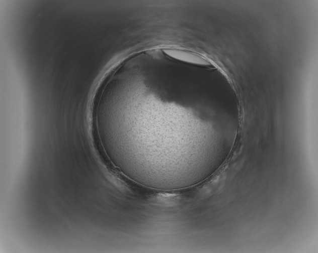 X0000112020055200908171439