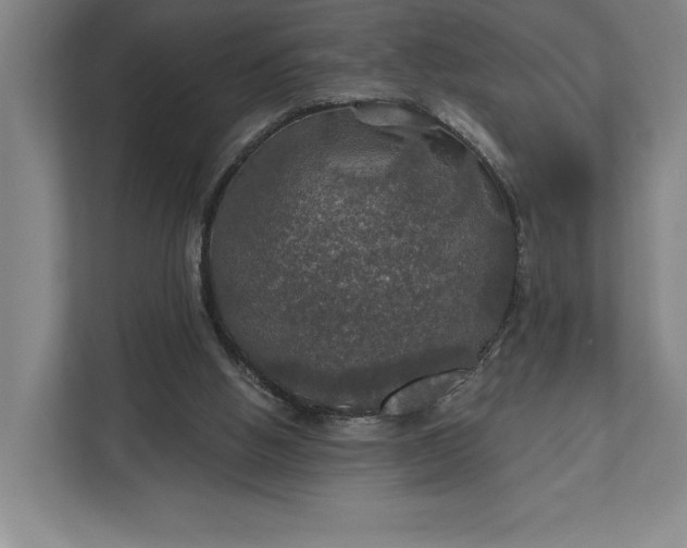 X0000112020058200908171439