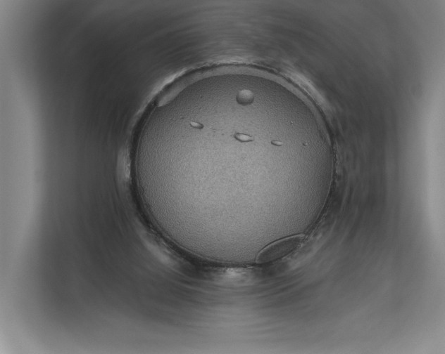 X0000112020060200908171439