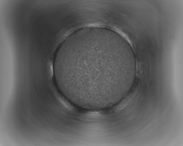 X0000112020061200908171439