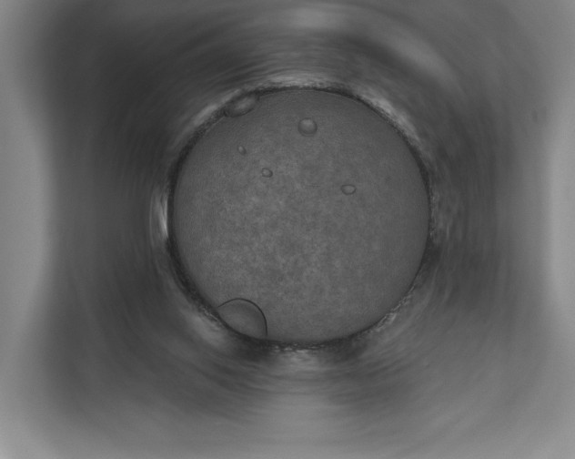 X0000112020062200908171439