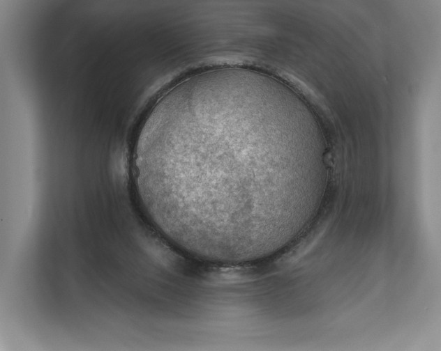 X0000112020064200908171439