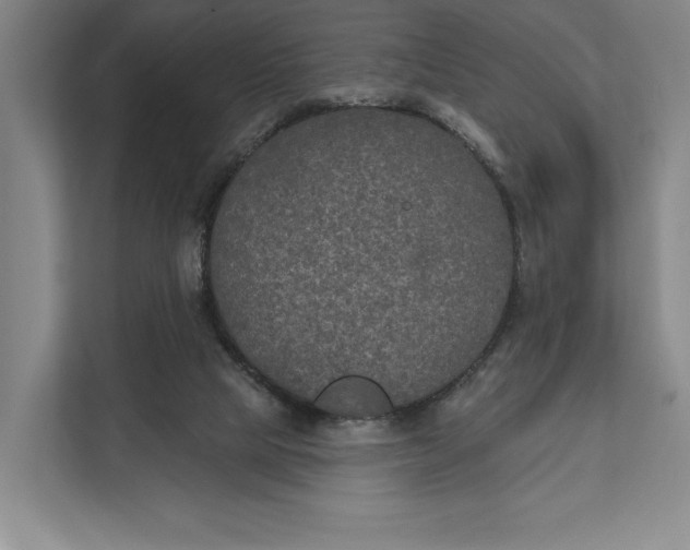 X0000112020065200908171439