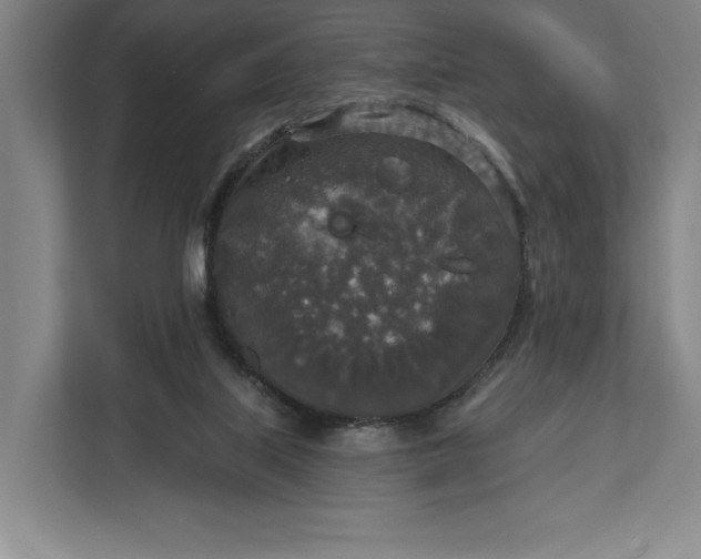 X0000112020067200908171439