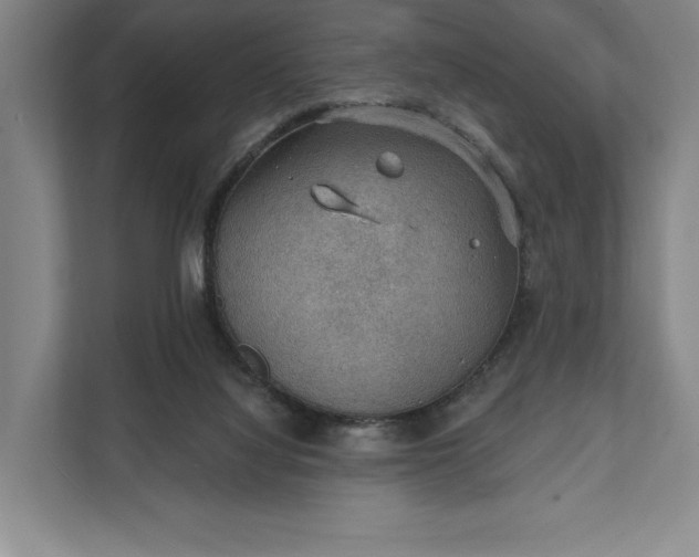 X0000112020068200908171439