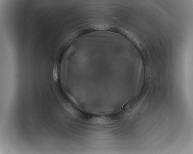 X0000112020069200908171439