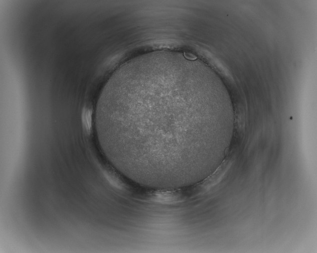 X0000112020070200908171439