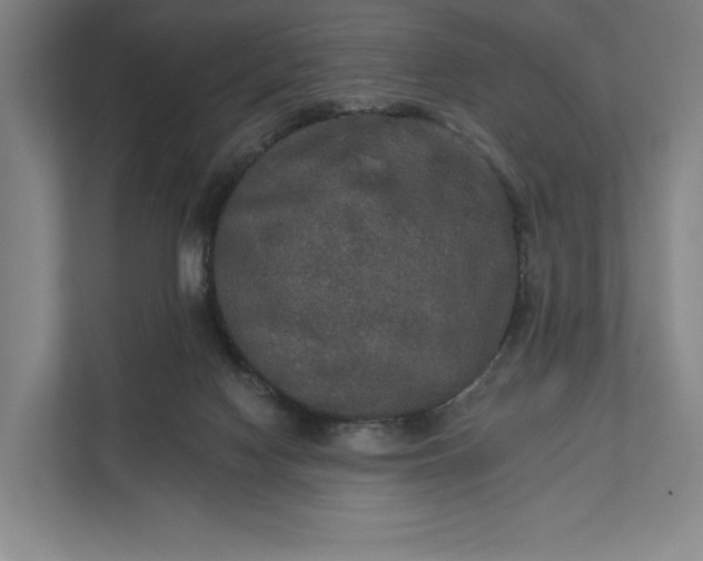 X0000112020074200908171439