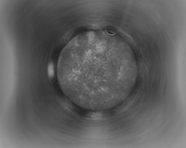 X0000112020075200908171439