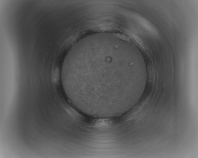 X0000112020077200908171439