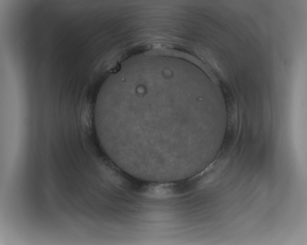 X0000112020078200908171439