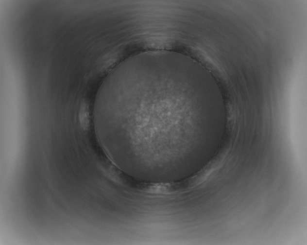 X0000112020080200908171439