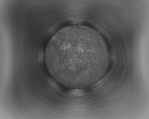 X0000112020082200908171439